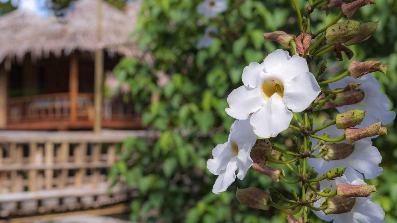 Onong'S Homestay & Cafe Tomohon Exterior photo